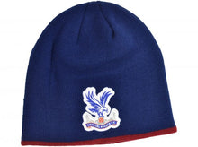 Load image into Gallery viewer, Official Palace Rolldown Beanie
