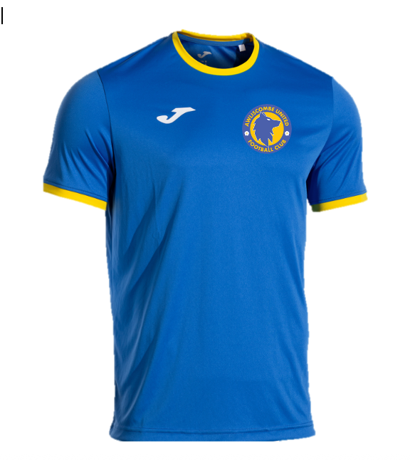 Awliscombe Football Club T Shirt