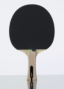 Lion Power Table Tennis Racket