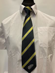Sidmouth College Tie
