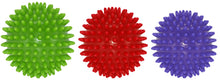 Load image into Gallery viewer, Urban Fitness Spikey Massage Ball
