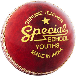 Readers Special School Youth Cricket Ball